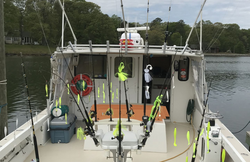 Fish Like a Local in Virginia